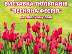 Выставка тюльпанов «Весняна Феєрія»