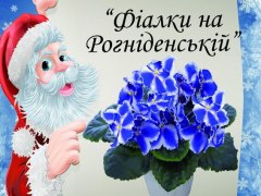 6-9 грудня виставка африканських фіалок