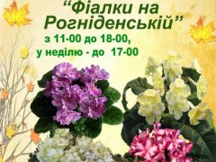 7-10 листопада виставка фіалок, рослин-хижаків та інших екзотів