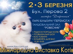 Международный чемпионат породистых кошек-2013
