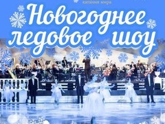 Новорічне льодове шоу