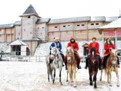 Під Києвом пройдуть відкриті кінні майстер-класи