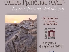 Виставка Ольги Грінблат "Тонка справа або Not allowed"
