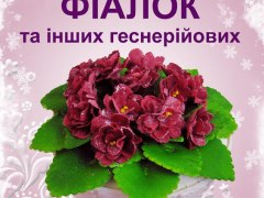 5-8 грудня виставка фіалок з експозицією рослин-хижаків