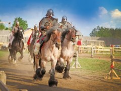 Масштабні історичні кінні баталії пройдуть під Києвом