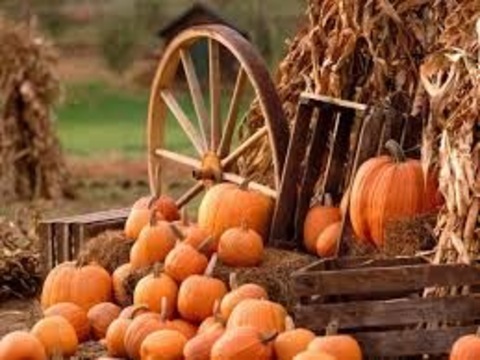 Топ-5 найкорисніших продуктів жовтня