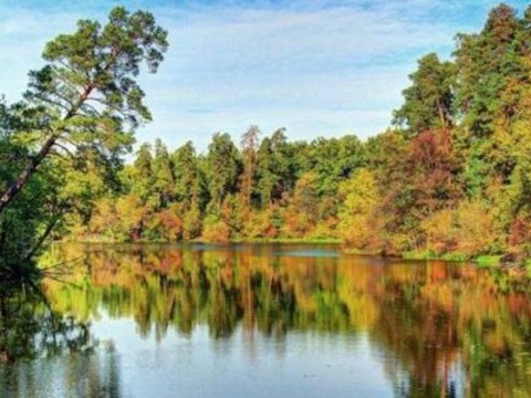 Пуща-Водиця: Блакитний прапор тепер у єдиного озерного пляжа України