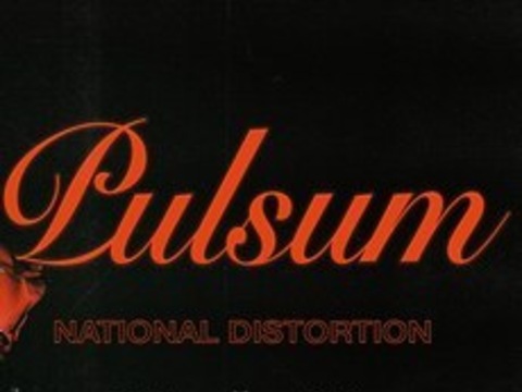 Вечірка «National Distortion: Pulsum»