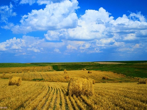 Що буде з Мінагрополітики і ринком землі