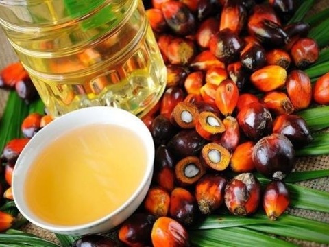 Пальмова олія — друг чи ворог?