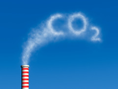 Економіка Польщі втрачає мільярди через CO2