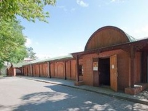 У Києві пройде благодійний аукціон на підтримку художниці Даші Кравченко