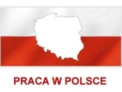 94 % українців, що працюють в Польщі, хотіли б повернутись туди на заробітки