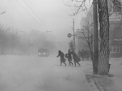 Міська влада просить пересісти киян на громадський транспорт