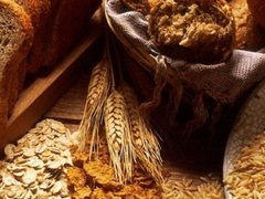 Україна встановила рекорд з експорту зерна