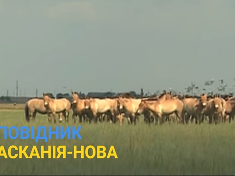 Фільм про заповідник на Херсонщині