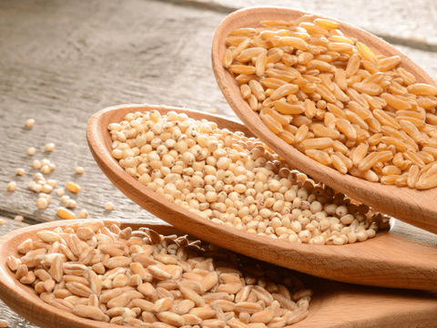 11 продуктів харчування, які вважаються шкідливими, але такими не є