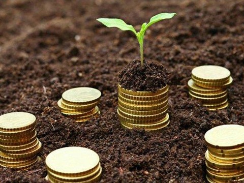 В Україні стартує проект з прискорення інвестицій у сільське господарство