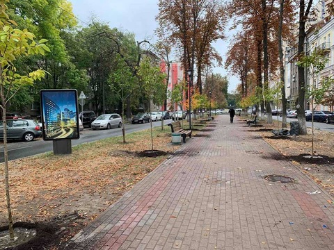 У Києві на Печерську з’явилась алея сакур