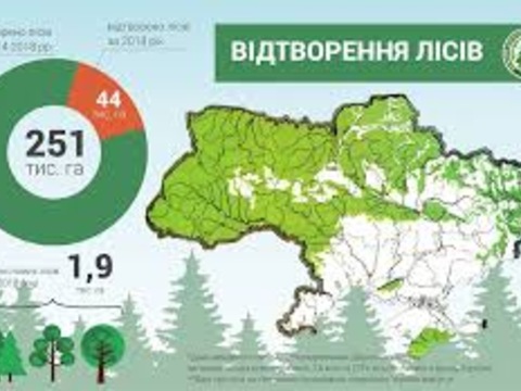 За рік в Україні створили майже 2 тисячі га нових лісів