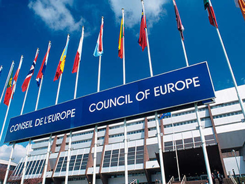 Рада Європи вважає, що Україна досягла прогресу у реформуванні