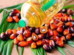 Пальмова олія — отрута для організму