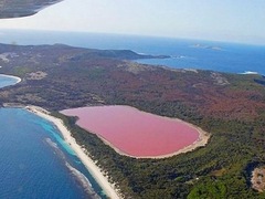 Рожеве озеро дивує своїх відвідувачів