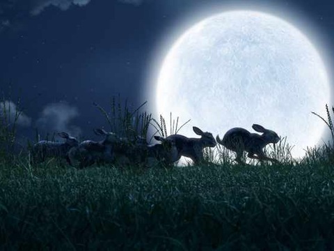 Netflix випустив похмурий трейлер серіалу «Небезпечні мандри»