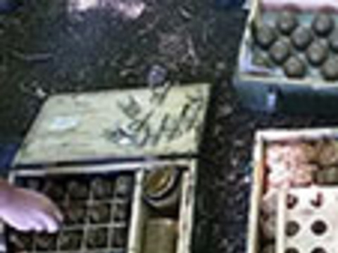 Вибуховонебезпечну схованку виявили поліцейські у лісосмузі на Дніпропетровщині