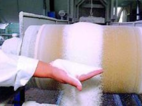В Україні розпочався сезон виробництва цукру