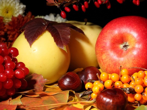 Які продукти додати в свій раціон в листопаді: корисний список