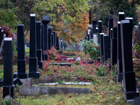 Стало відомо, як збираються ховати померлих від коронавірусу киян