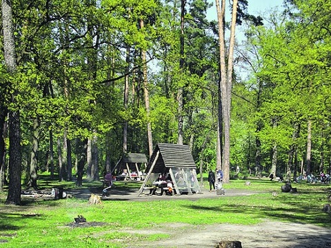 У Києві відкрили 38 пікнікових зон