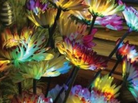У Києві пройде останній квітковий фестиваль з 25 000 хризантем