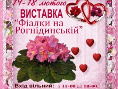 14-18 лютого виставка фіалок на Рогнідинській