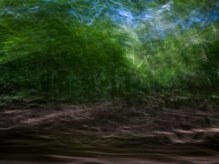 ФОТОВИСТАВКА «ХАТИ, ЯРИ І ЛЮДИ. ВИГНАННЯ В РАЙ»