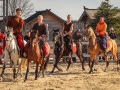 На Київщині покажуть рідкісних стародавніх коней