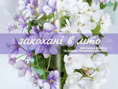 15-18 липня виставка фіалок та інших кімнатних рослин