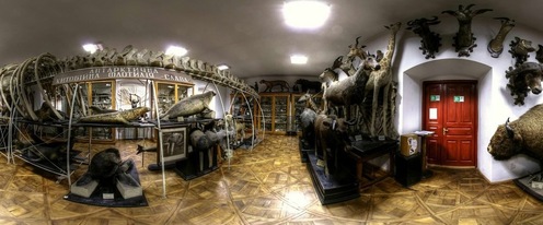 Зоологічний музей