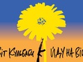 «Йду на війну»: гурт «Цвіт Кульбаби» презентував пісню