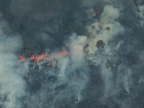 Опубліковано фото масштабів лісових пожеж в Амазонії