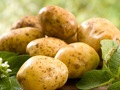 За рік картопля в Україні подорожчала утричі