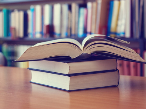 Українці відкрили найбільшу у світі книжкову крамницю