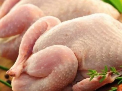 Як в Україні контролюють процес виробництва курятини